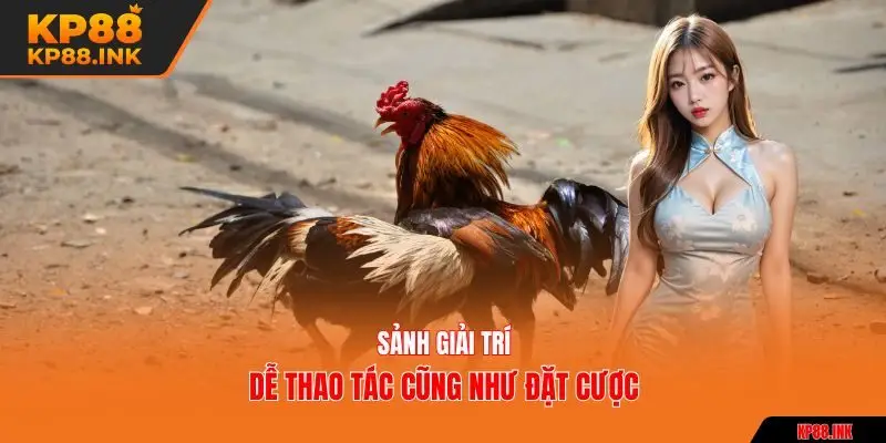 Sảnh giải trí dễ thao tác cũng như đặt cược
