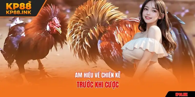 Am hiểu về chiến kê trước khi cược